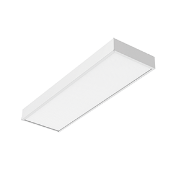 product's name