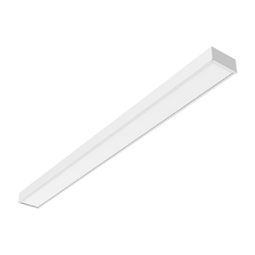 product's name