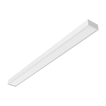 product's name