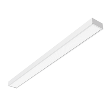 product's name