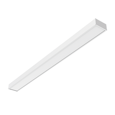 product's name