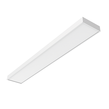 product's name