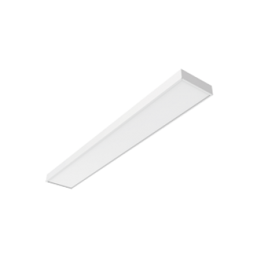product's name