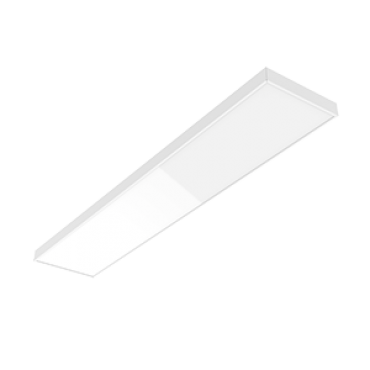 product's name