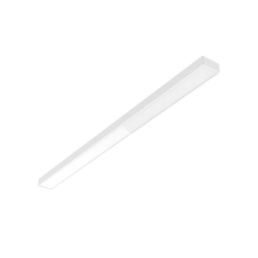 product's name