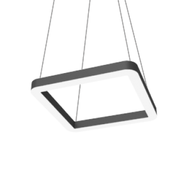 product's name