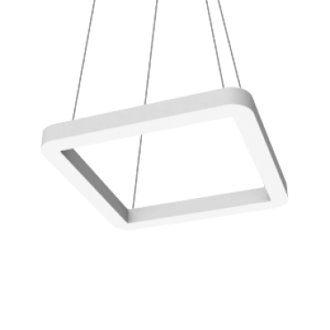 product's name
