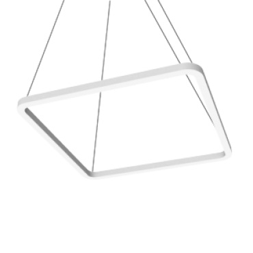 product's name