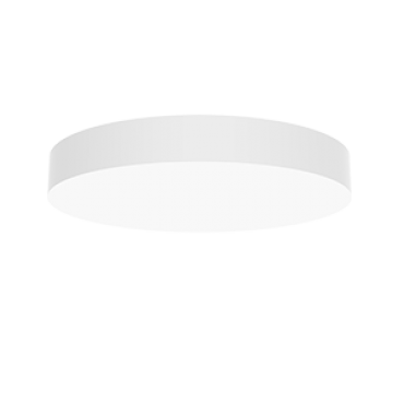 product's name