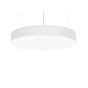 product's name