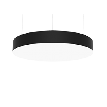 product's name
