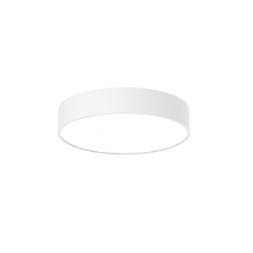 product's name