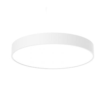 product's name