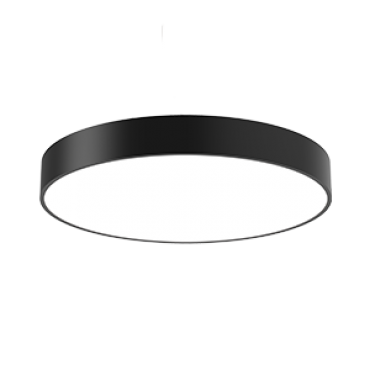 product's name