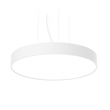 product's name
