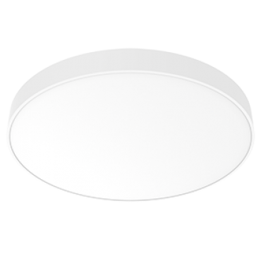 product's name