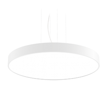 product's name