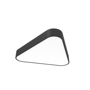 product's name
