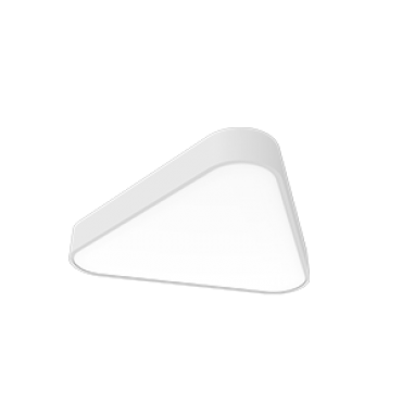 product's name