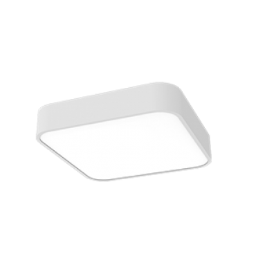 product's name