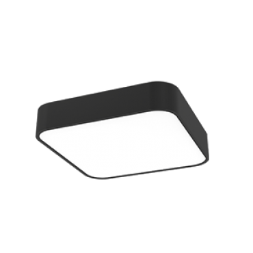 product's name