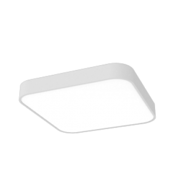 product's name