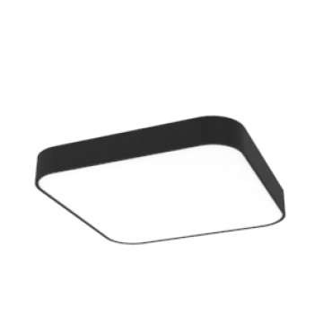 product's name