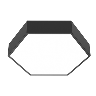 product's name
