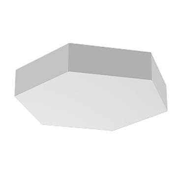 product's name