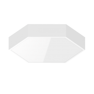 product's name