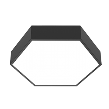 product's name