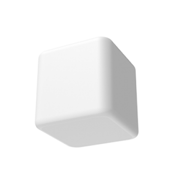 product's name