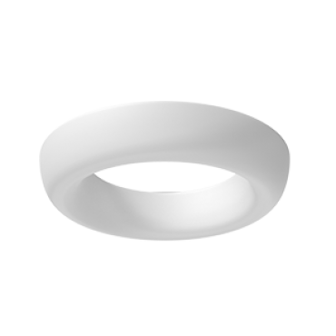 product's name