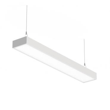 product's name