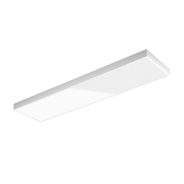 product's name