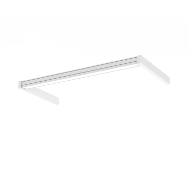 product's name