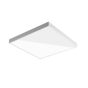 product's name