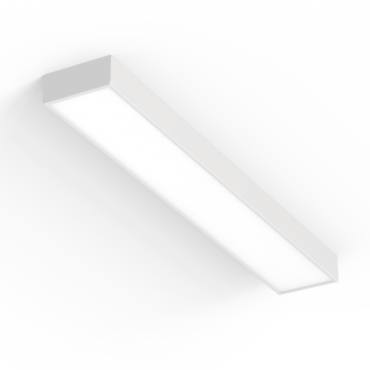 product's name