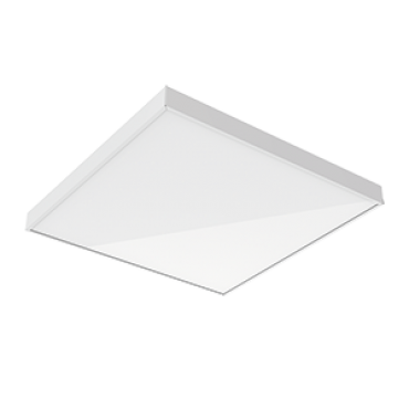 product's name