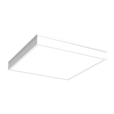 product's name