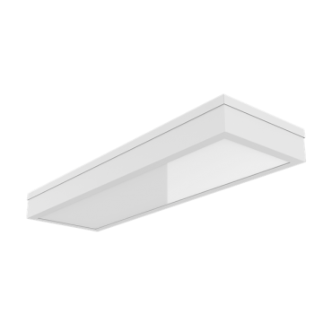 product's name