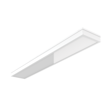 product's name