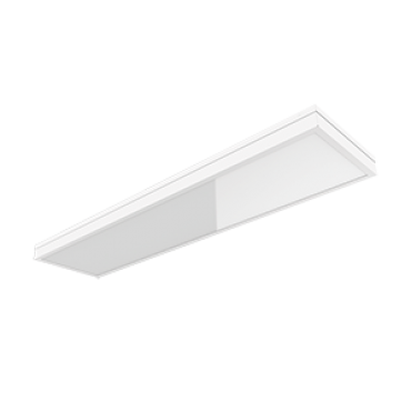 product's name