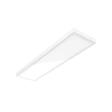 product's name