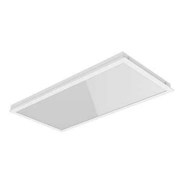 product's name