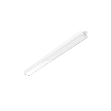 product's name