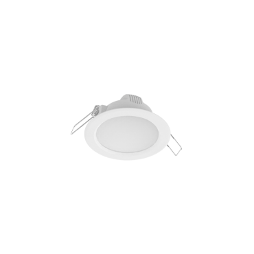 product's name