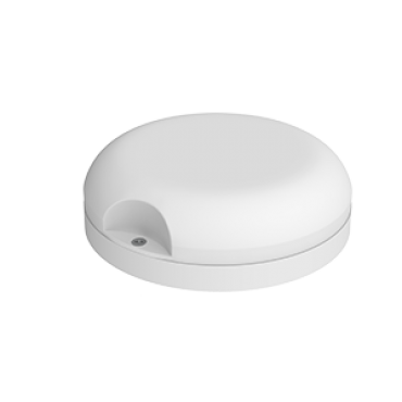 product's name