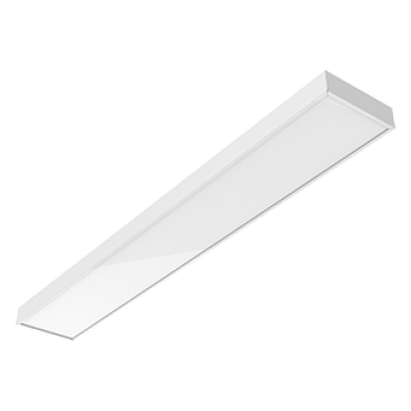product's name