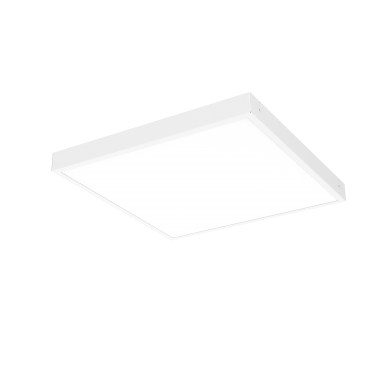 product's name